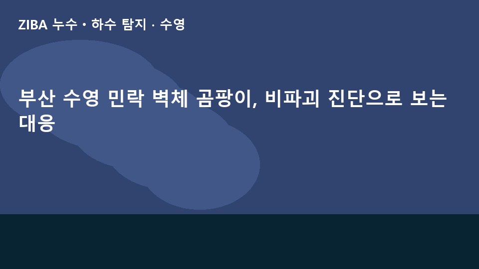 부산 수영 민락 벽체 곰팡이, 비파괴 진단으로 보는 대응