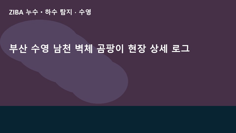 부산 수영 남천 벽체 곰팡이 현장 상세 로그